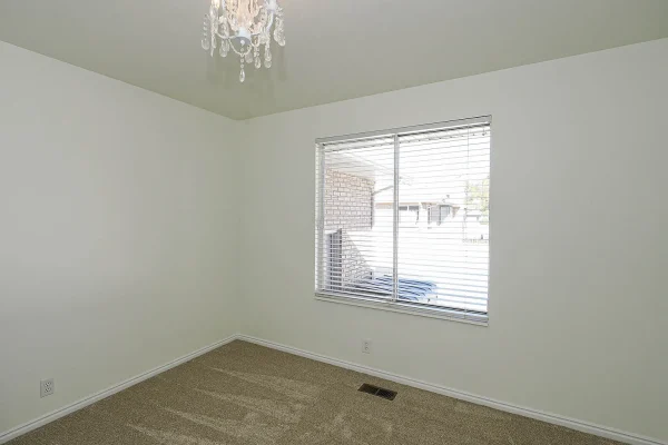 8cd8c999d085a31f31ad0dc57d34ba63-uncropped_scaled_within_1536_1152 8cd8c999d085a31f31ad0dc57d34ba63-uncropped_scaled_within_1536_1152