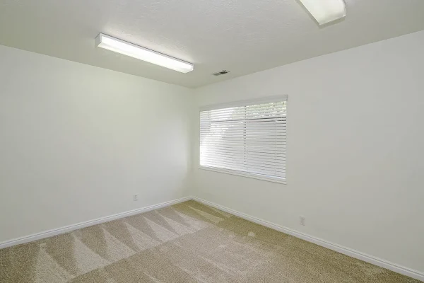 bf1b56e209448e3c2eb1bd459b0b9d4b-uncropped_scaled_within_1536_1152 bf1b56e209448e3c2eb1bd459b0b9d4b-uncropped_scaled_within_1536_1152